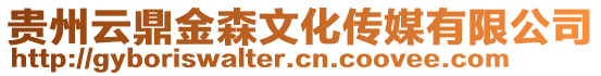 貴州云鼎金森文化傳媒有限公司