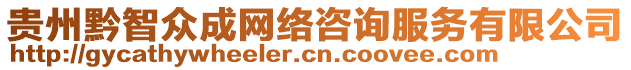 貴州黔智眾成網(wǎng)絡(luò)咨詢服務(wù)有限公司