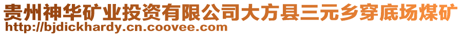 貴州神華礦業(yè)投資有限公司大方縣三元鄉(xiāng)穿底場(chǎng)煤礦