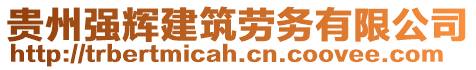 貴州強(qiáng)輝建筑勞務(wù)有限公司