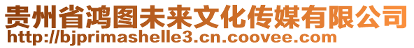 貴州省鴻圖未來文化傳媒有限公司