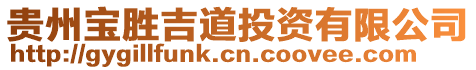 貴州寶勝吉道投資有限公司