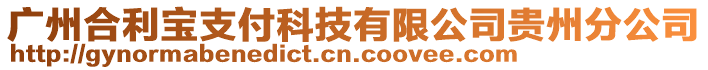 廣州合利寶支付科技有限公司貴州分公司