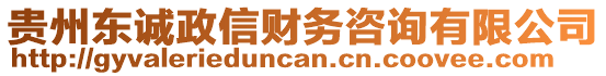 貴州東誠政信財務咨詢有限公司