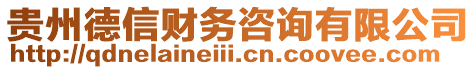 貴州德信財(cái)務(wù)咨詢(xún)有限公司