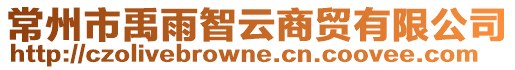 常州市禹雨智云商貿有限公司