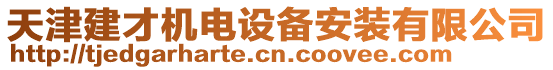 天津建才機(jī)電設(shè)備安裝有限公司