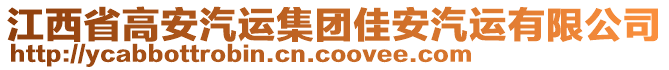 江西省高安汽運(yùn)集團(tuán)佳安汽運(yùn)有限公司