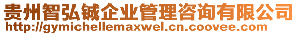 貴州智弘鋮企業(yè)管理咨詢有限公司