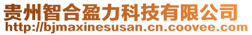 貴州智合盈力科技有限公司