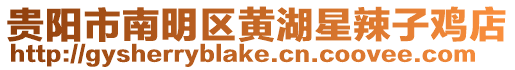 貴陽市南明區(qū)黃湖星辣子雞店