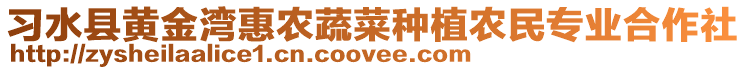 習(xí)水縣黃金灣惠農(nóng)蔬菜種植農(nóng)民專業(yè)合作社