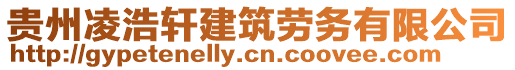 貴州凌浩軒建筑勞務有限公司