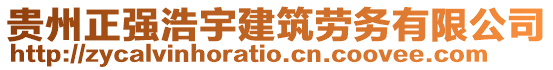 貴州正強(qiáng)浩宇建筑勞務(wù)有限公司