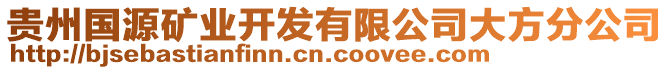 貴州國(guó)源礦業(yè)開(kāi)發(fā)有限公司大方分公司