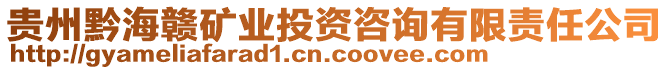 貴州黔海贛礦業(yè)投資咨詢有限責任公司