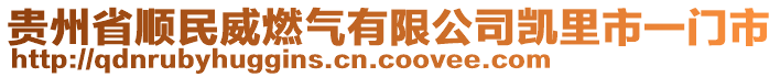 貴州省順民威燃氣有限公司凱里市一門市