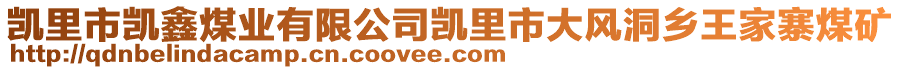 凱里市凱鑫煤業(yè)有限公司凱里市大風(fēng)洞鄉(xiāng)王家寨煤礦