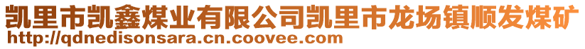 凱里市凱鑫煤業(yè)有限公司凱里市龍場鎮(zhèn)順發(fā)煤礦