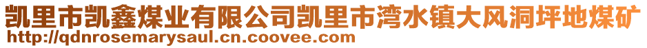 凱里市凱鑫煤業(yè)有限公司凱里市灣水鎮(zhèn)大風(fēng)洞坪地煤礦