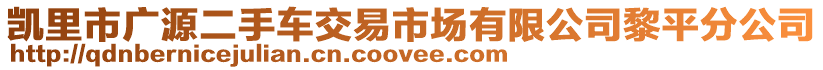 凱里市廣源二手車交易市場(chǎng)有限公司黎平分公司