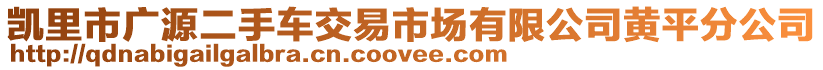 凱里市廣源二手車交易市場有限公司黃平分公司