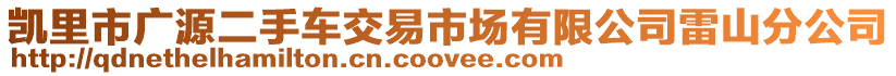 凱里市廣源二手車交易市場有限公司雷山分公司