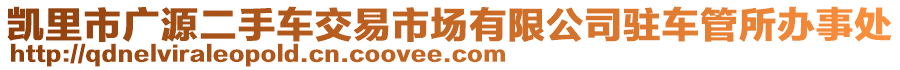 凱里市廣源二手車交易市場(chǎng)有限公司駐車管所辦事處