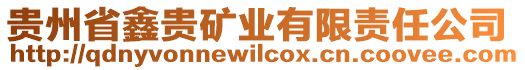 貴州省鑫貴礦業(yè)有限責任公司