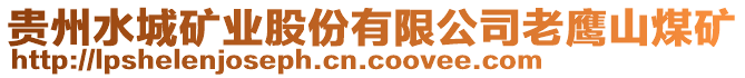 貴州水城礦業(yè)股份有限公司老鷹山煤礦