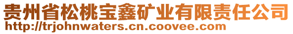 貴州省松桃寶鑫礦業(yè)有限責任公司