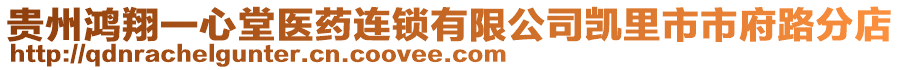 貴州鴻翔一心堂醫(yī)藥連鎖有限公司凱里市市府路分店