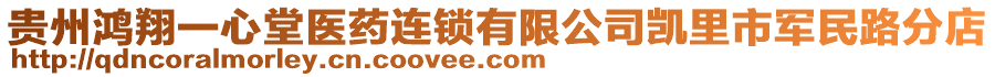 貴州鴻翔一心堂醫(yī)藥連鎖有限公司凱里市軍民路分店