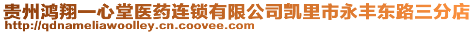 貴州鴻翔一心堂醫(yī)藥連鎖有限公司凱里市永豐東路三分店