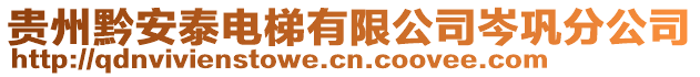 貴州黔安泰電梯有限公司岑鞏分公司