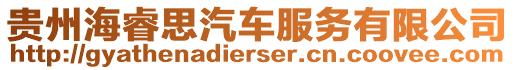 貴州海睿思汽車服務(wù)有限公司