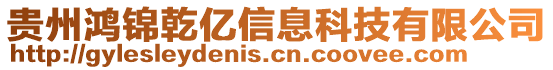 貴州鴻錦乾億信息科技有限公司