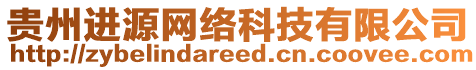 貴州進(jìn)源網(wǎng)絡(luò)科技有限公司