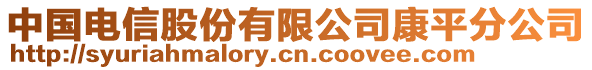 中國(guó)電信股份有限公司康平分公司