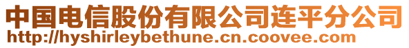 中國電信股份有限公司連平分公司