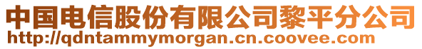 中國電信股份有限公司黎平分公司