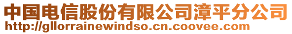 中國電信股份有限公司漳平分公司