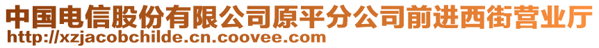 中國電信股份有限公司原平分公司前進西街營業(yè)廳