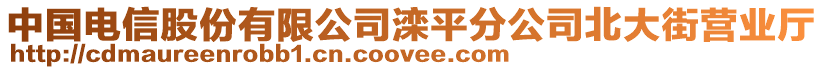 中國電信股份有限公司灤平分公司北大街營業(yè)廳