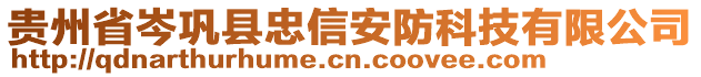 貴州省岑鞏縣忠信安防科技有限公司