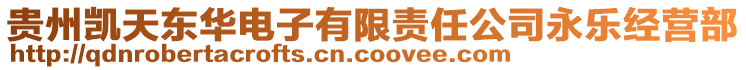 貴州凱天東華電子有限責(zé)任公司永樂(lè)經(jīng)營(yíng)部