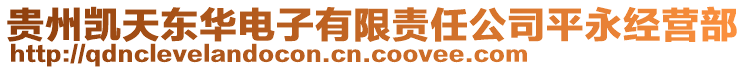 貴州凱天東華電子有限責任公司平永經營部