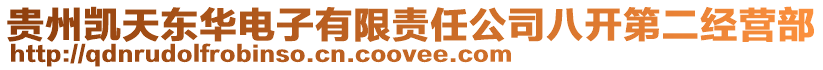 貴州凱天東華電子有限責(zé)任公司八開(kāi)第二經(jīng)營(yíng)部