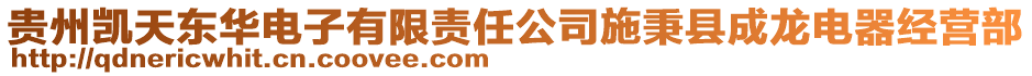 貴州凱天東華電子有限責(zé)任公司施秉縣成龍電器經(jīng)營部