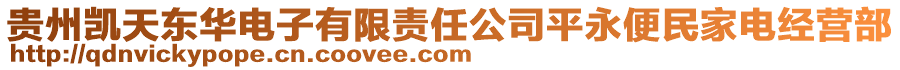 貴州凱天東華電子有限責(zé)任公司平永便民家電經(jīng)營(yíng)部